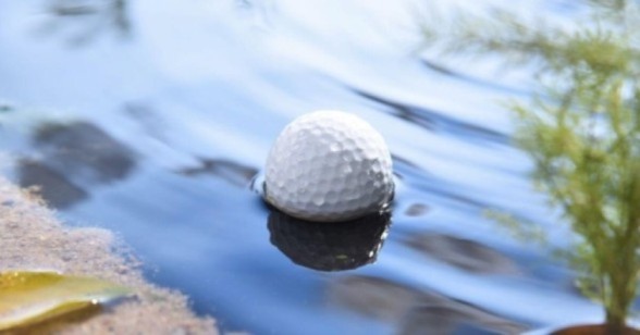 Golf Ball Water Retrievers