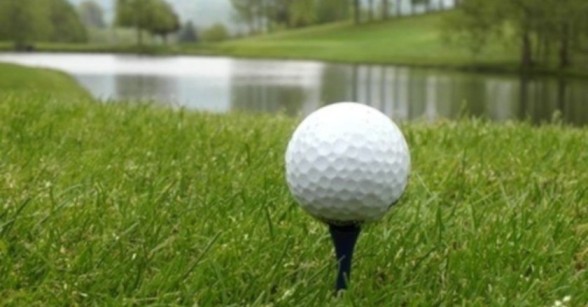Telescopic Golf Ball Retriever
