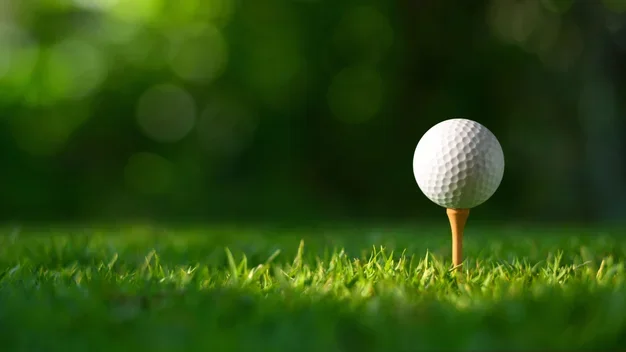 Choosing the Best Golf Ball Retriever: A Comprehensive Guide for Golf Enthusiasts