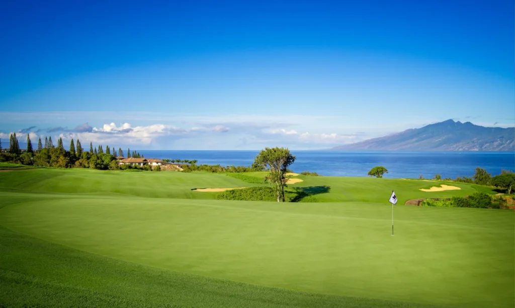 Kapalua Plantation Golf Course (Best Golf Courses in Hawaii)