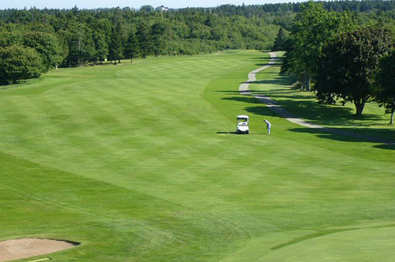 The Country Club The Main Best Golf Courses